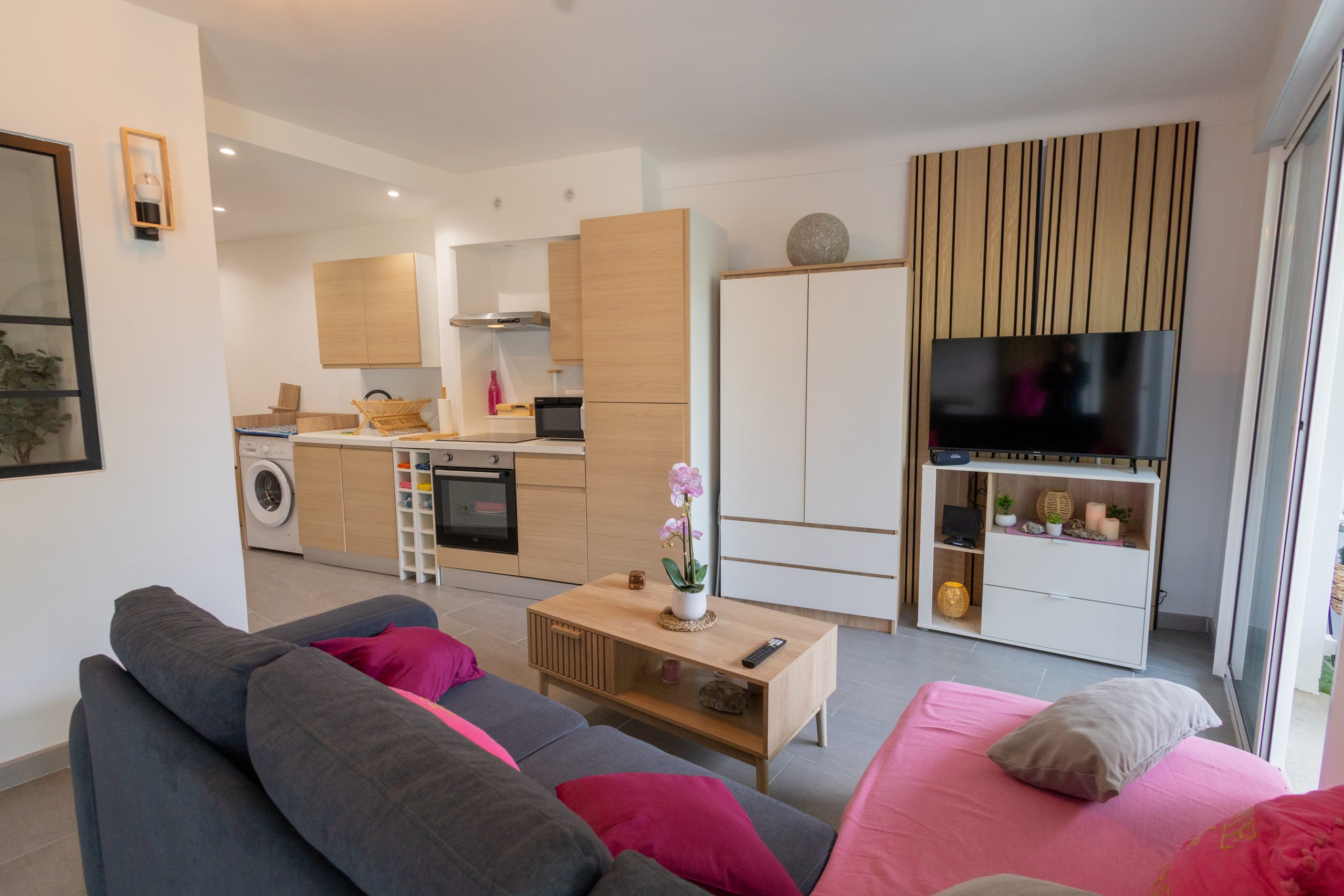 Appartement Picaud - Salon TV