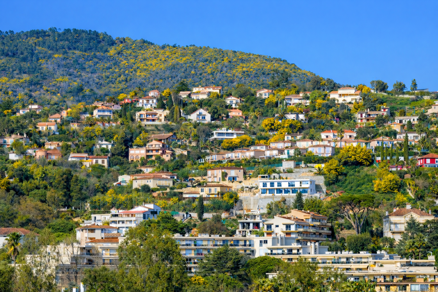 Studio Marina - Vue Mandelieu-la-Napoule